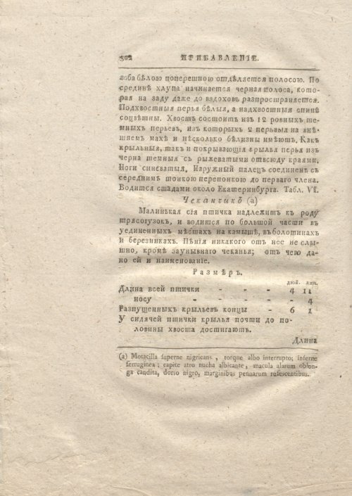 Страница 310