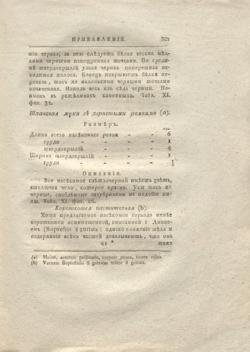 Страница 331