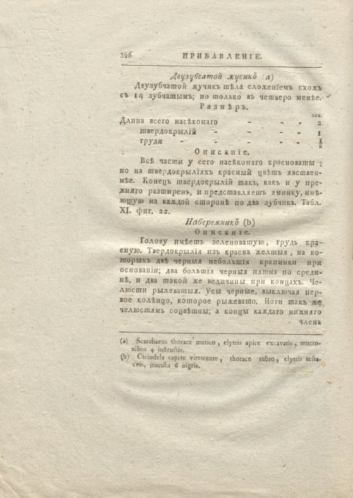Страница 334