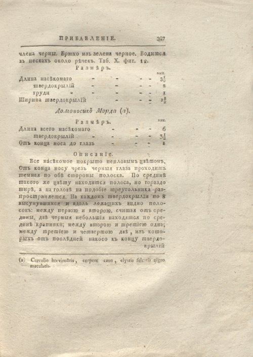 Страница 335