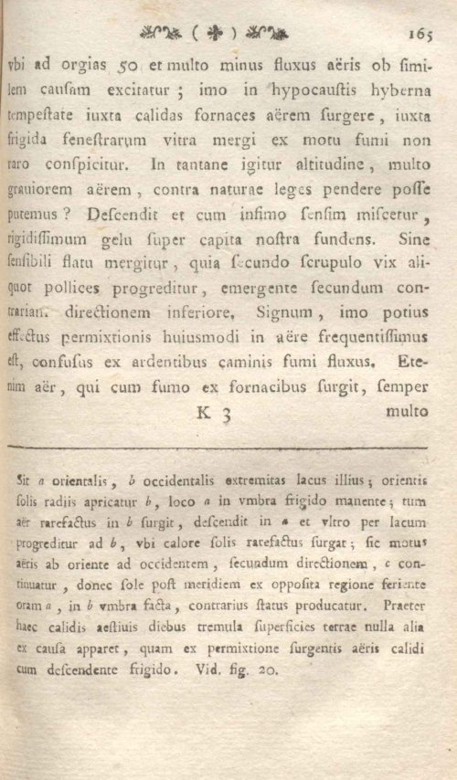 Страница 169