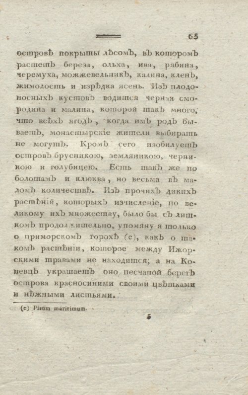 Страница 67