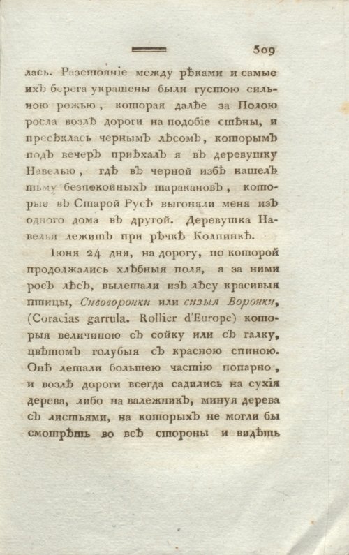 Страница 511