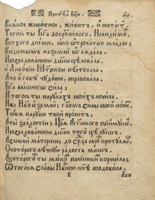 Страница 95