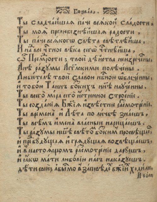 Страница 204