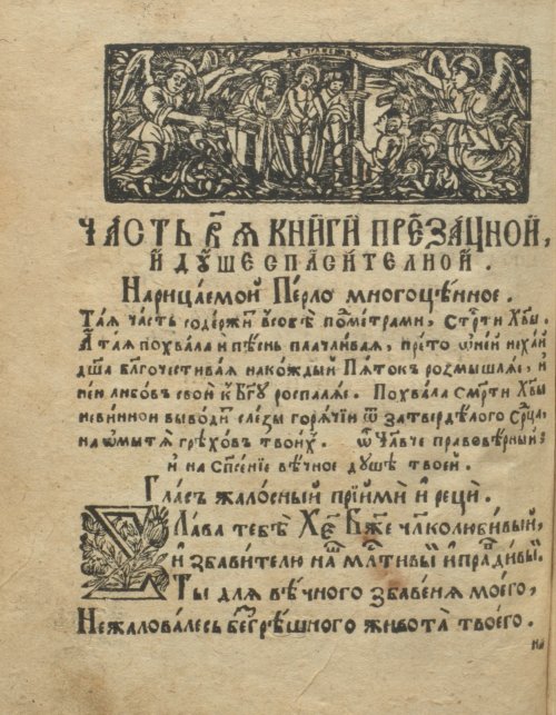Страница 218