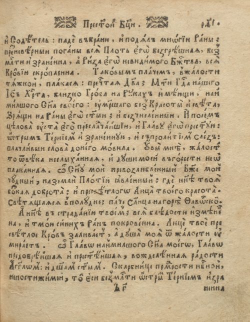 Страница 243