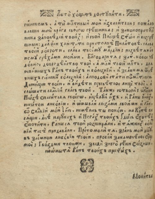 Страница 256