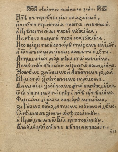 Страница 294