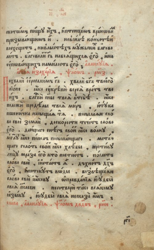 Страница 231