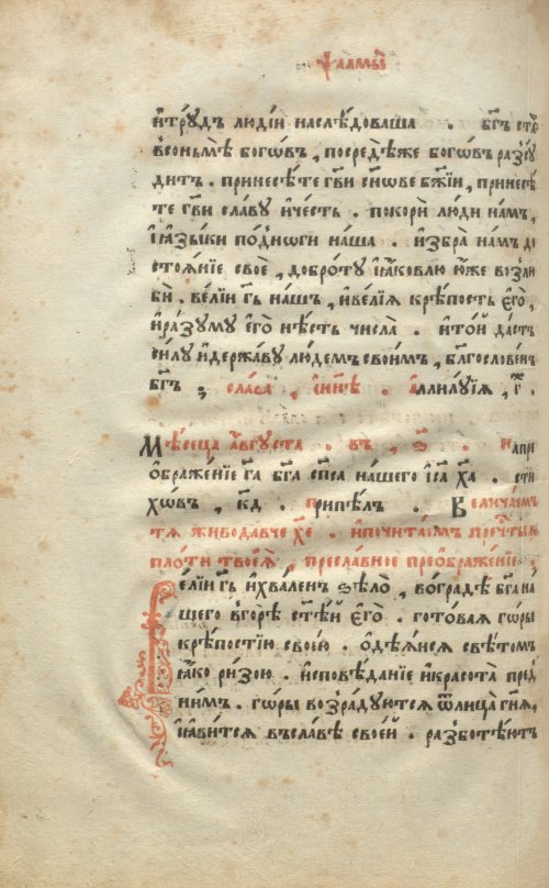 Страница 318