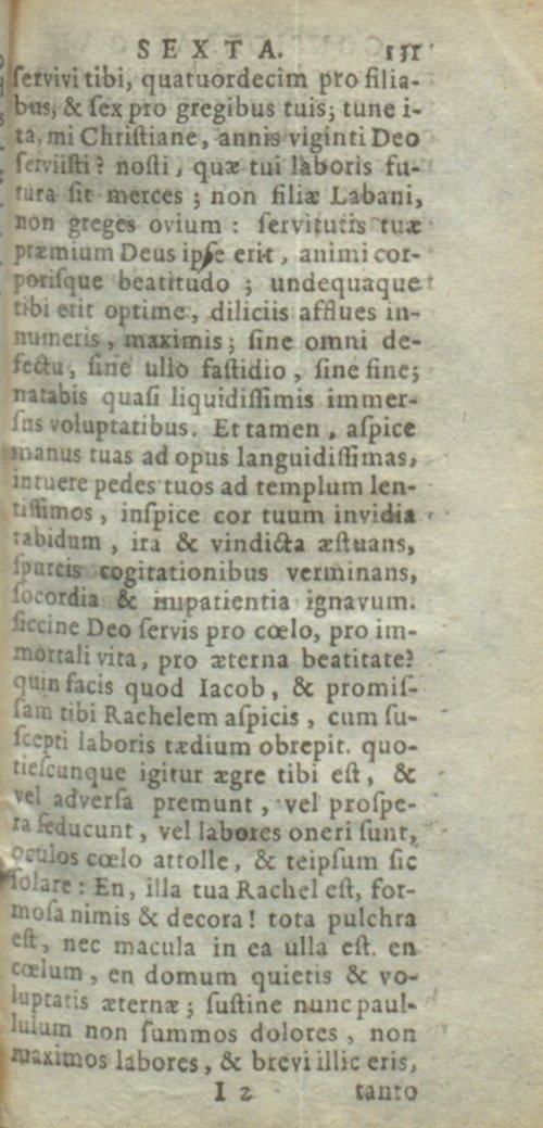 Страница 137