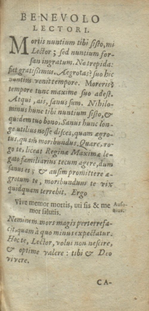 Страница 243