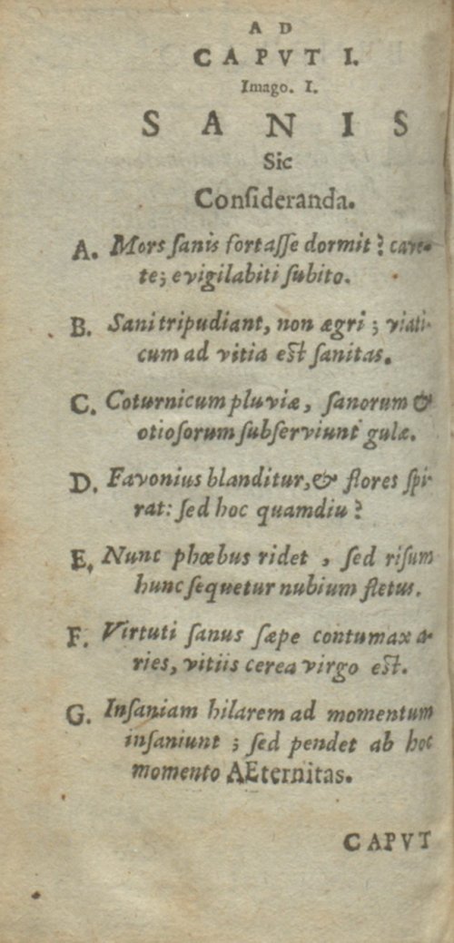 Страница 244