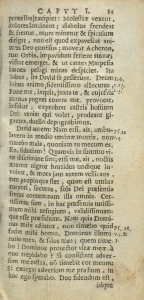 Страница 325