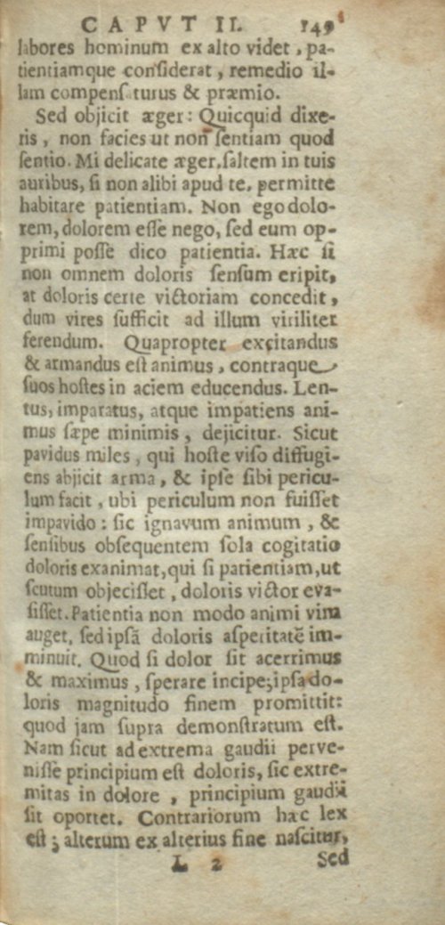 Страница 393