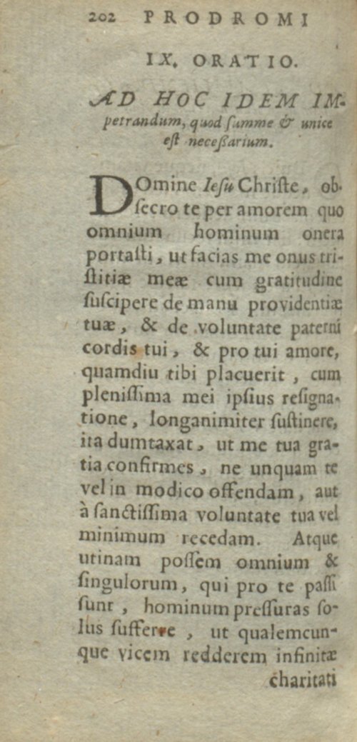 Страница 446