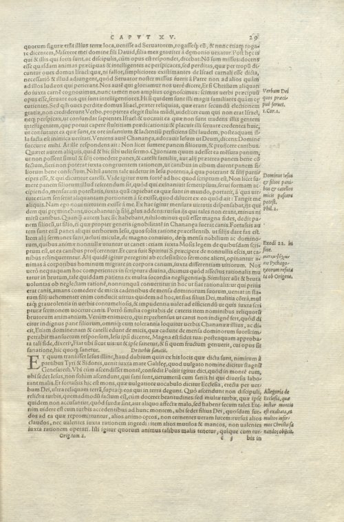 Страница 33