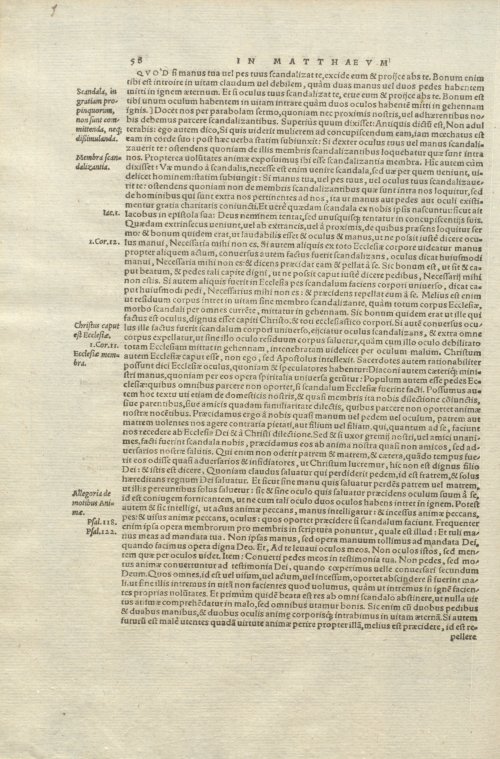 Страница 62