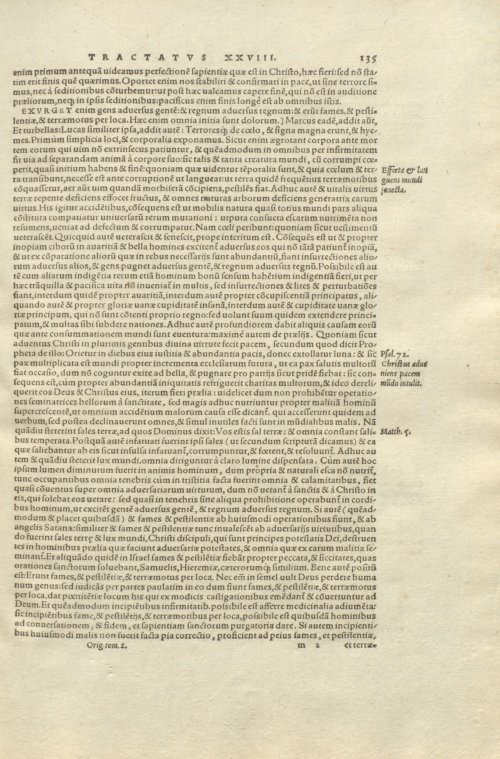 Страница 139