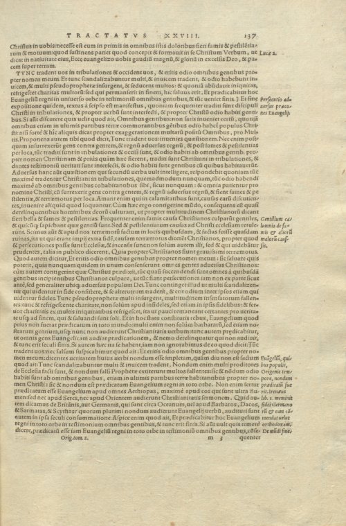 Страница 141