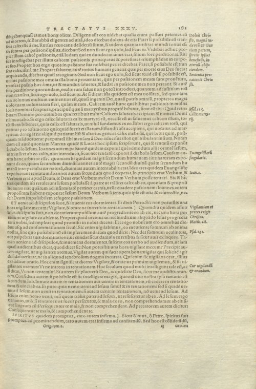 Страница 185