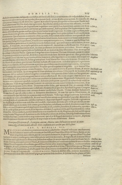 Страница 219