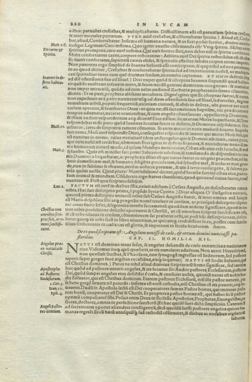 Страница 224