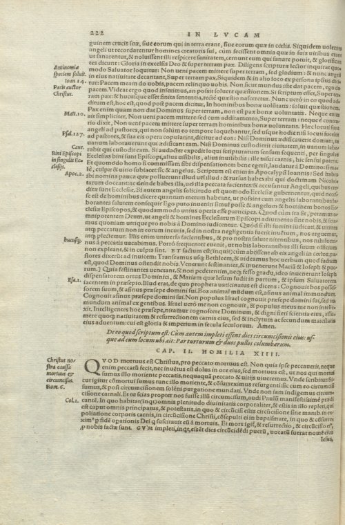 Страница 226