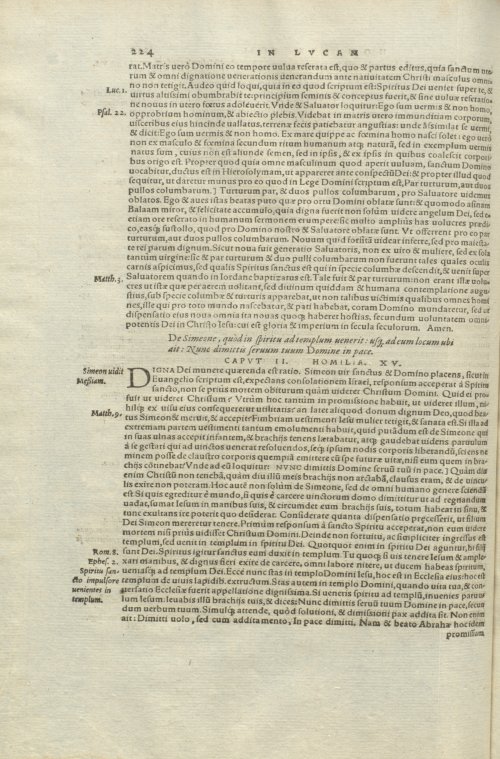 Страница 228