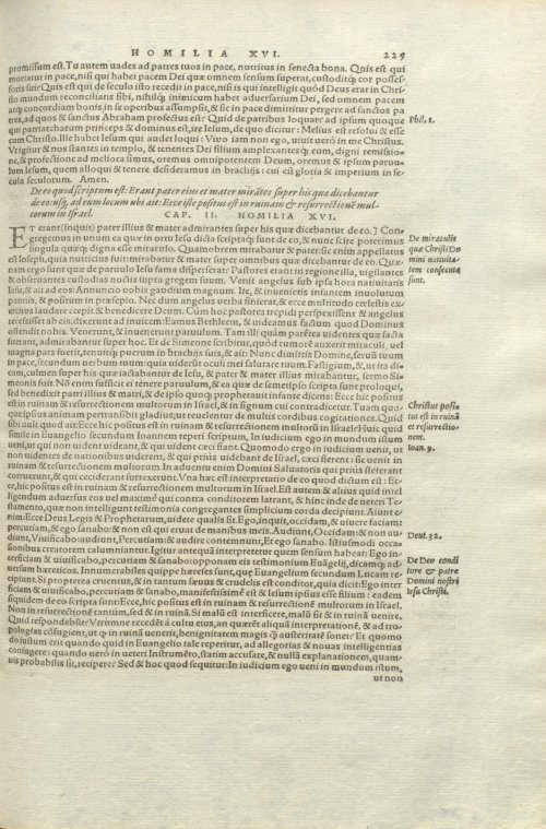 Страница 229