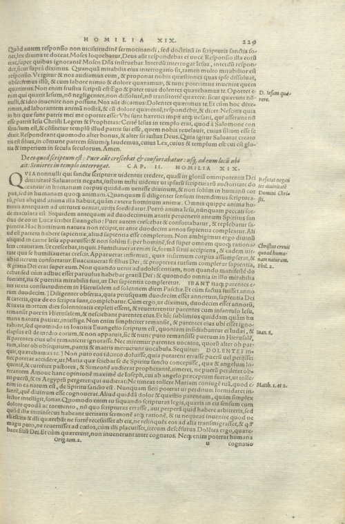 Страница 233