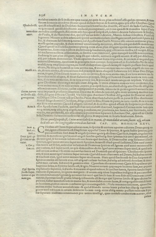 Страница 240