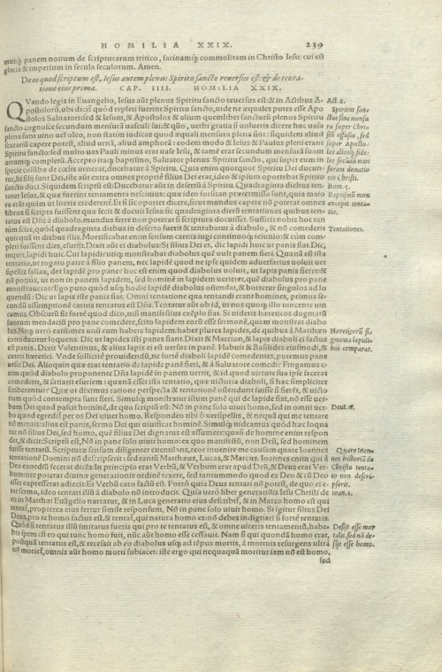 Страница 243