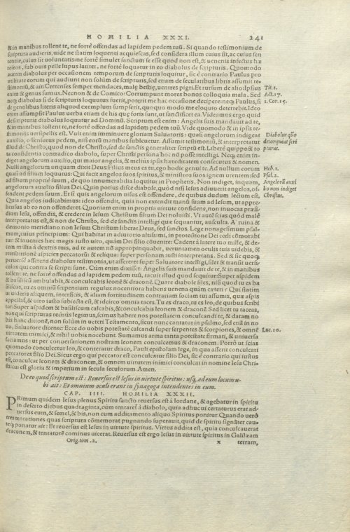 Страница 245
