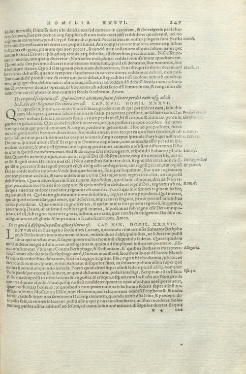 Страница 251