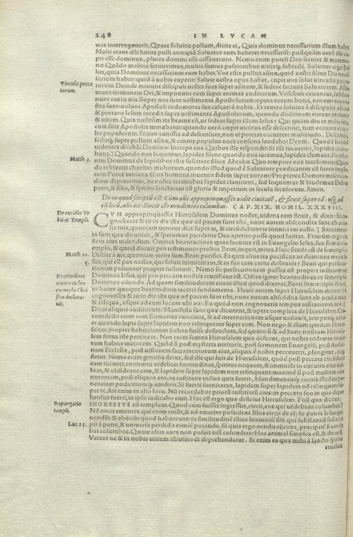 Страница 252
