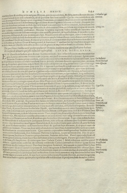 Страница 253
