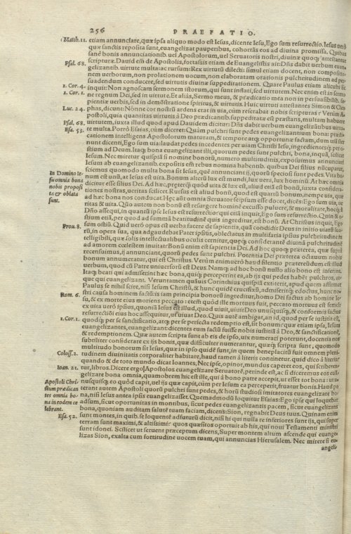 Страница 260