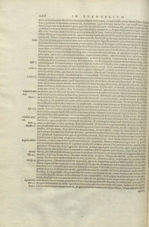 Страница 270