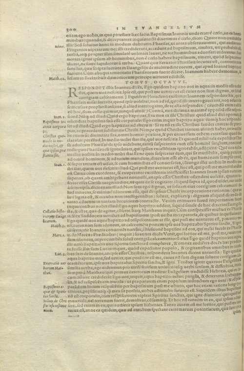 Страница 304
