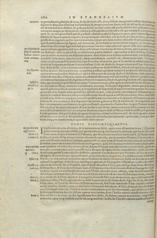 Страница 384