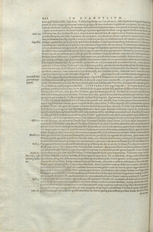 Страница 396