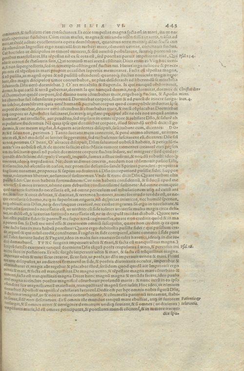 Страница 447