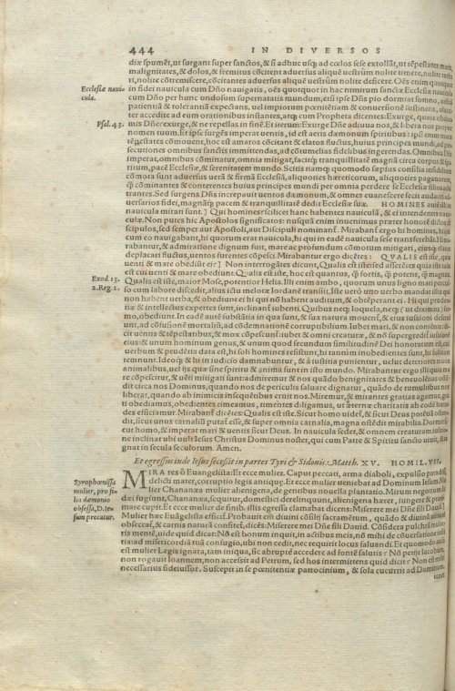 Страница 448