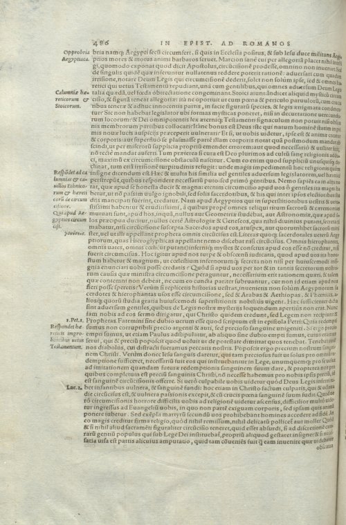 Страница 490