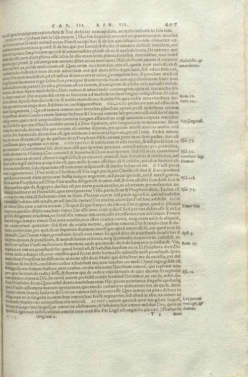 Страница 501