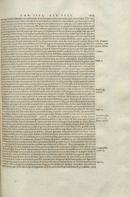 Страница 517