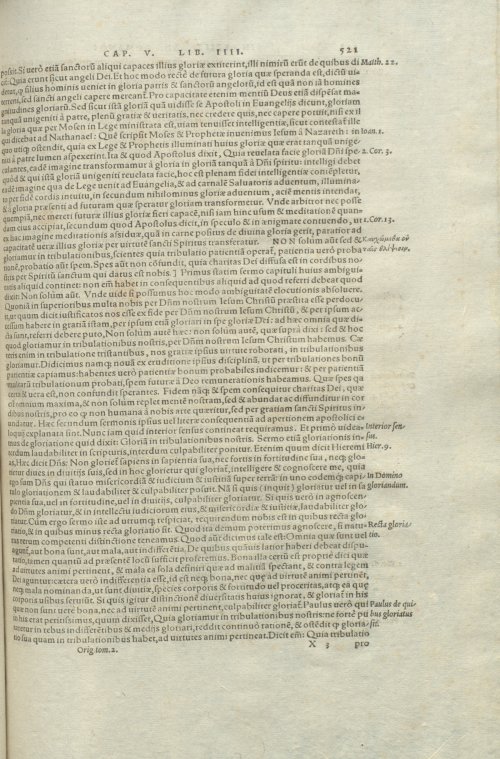 Страница 525