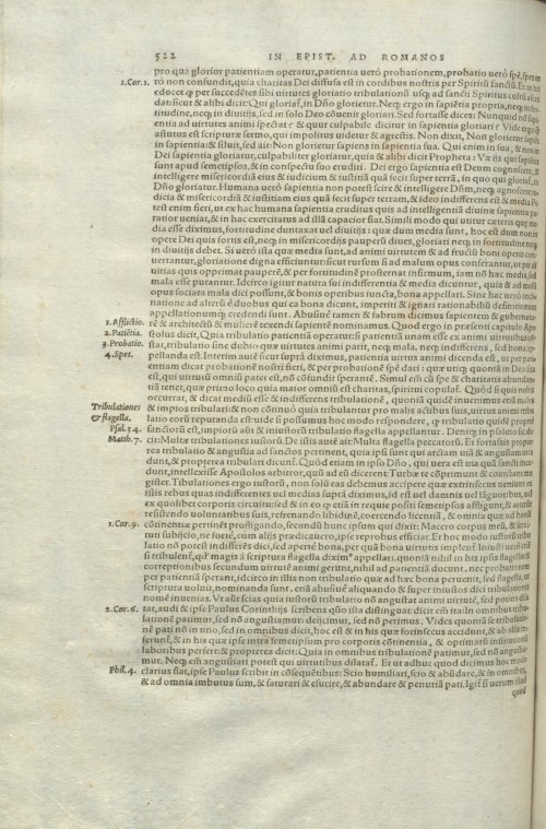 Страница 526